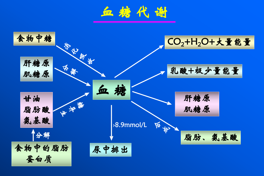 糖尿病病理生理学.ppt_第3页