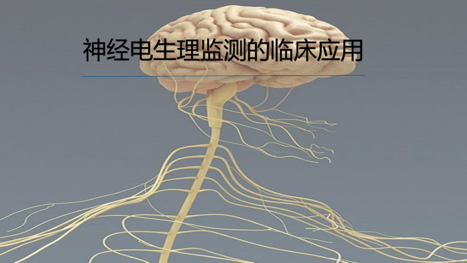 神经电生理监测的临床应用.ppt_第1页