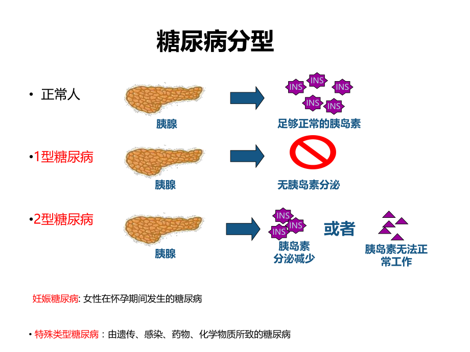 糖尿病健康教育.ppt_第3页