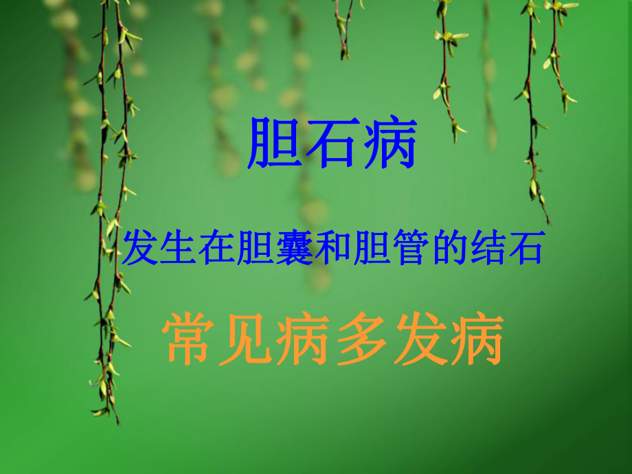 胆石症健康教育.ppt_第2页