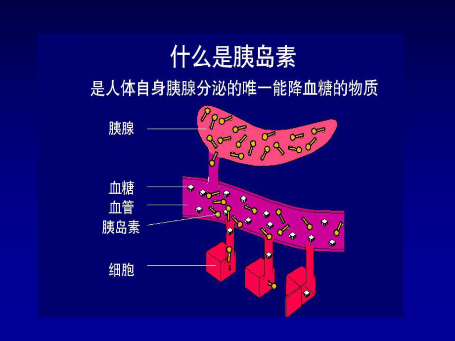 糖尿病饮食管理.ppt_第3页