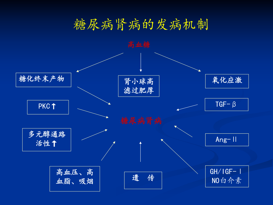 糖尿病肾病病理特点.ppt_第3页