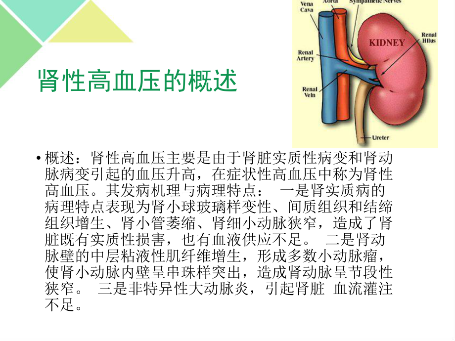 肾性高血压的药物治疗.ppt_第3页
