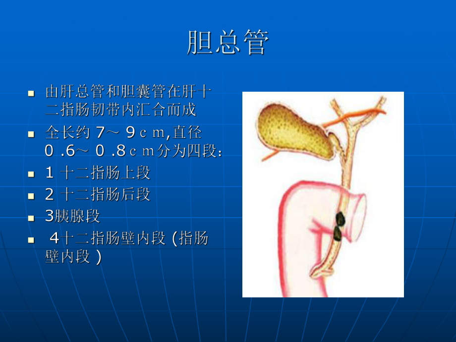 胆总管囊肿的影像学诊断邱永友.ppt_第3页