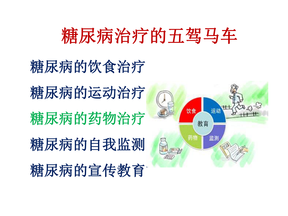 糖尿病药物治疗ppt.ppt_第2页