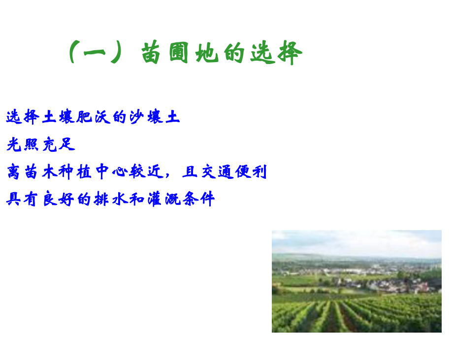 葡萄栽培技术.ppt_第3页