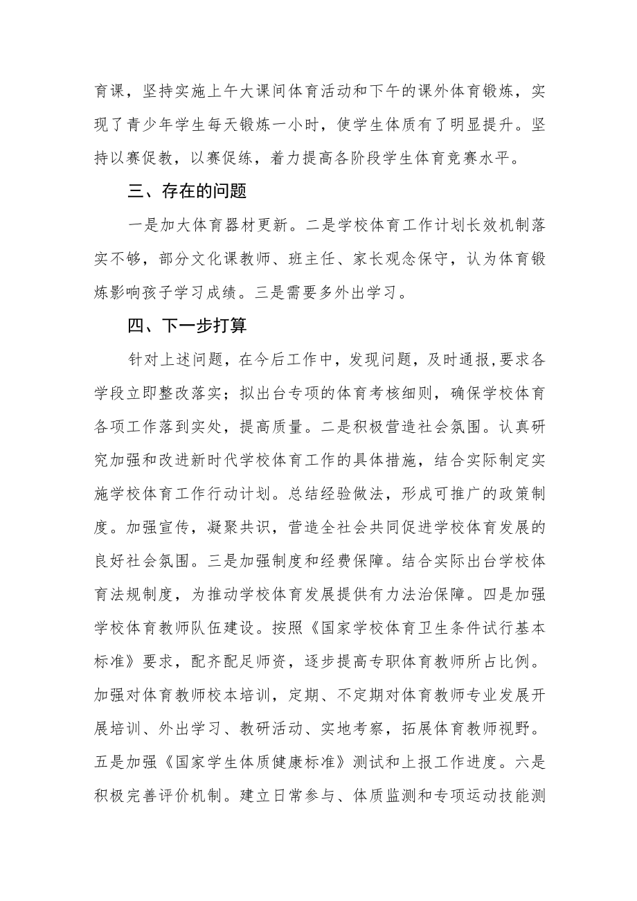 中心学校体育发展年度报告.docx_第3页