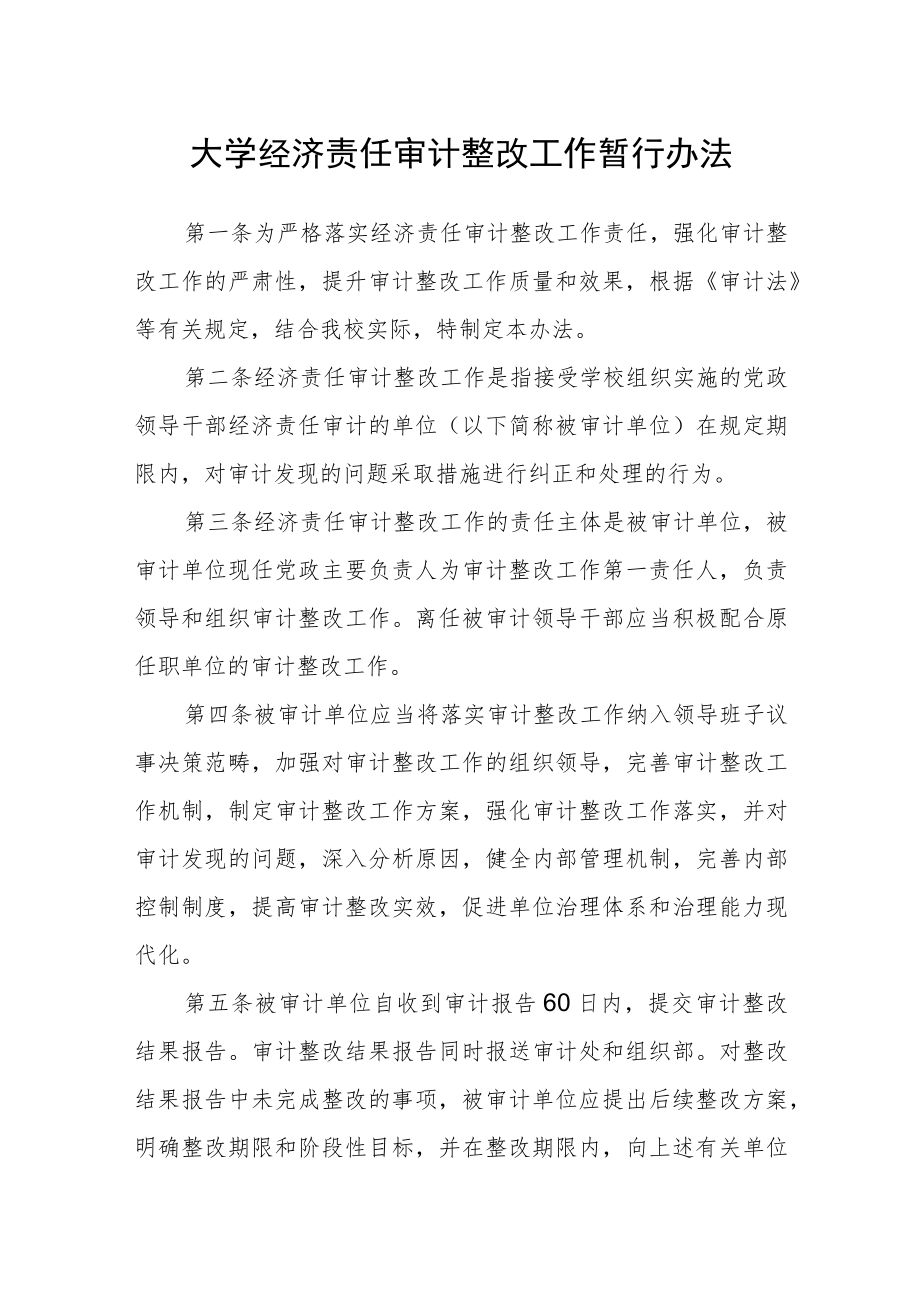 大学经济责任审计整改工作暂行办法.docx_第1页