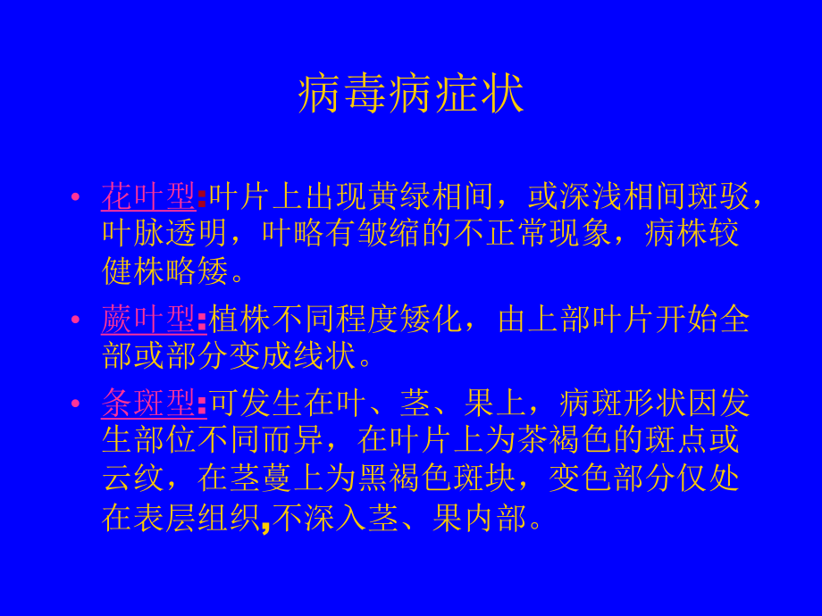 辣椒病虫害防治及.ppt_第3页