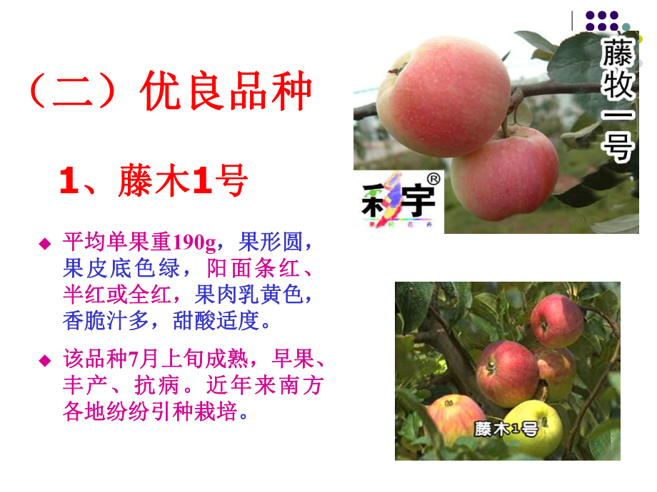 苹果栽培技术.ppt_第3页