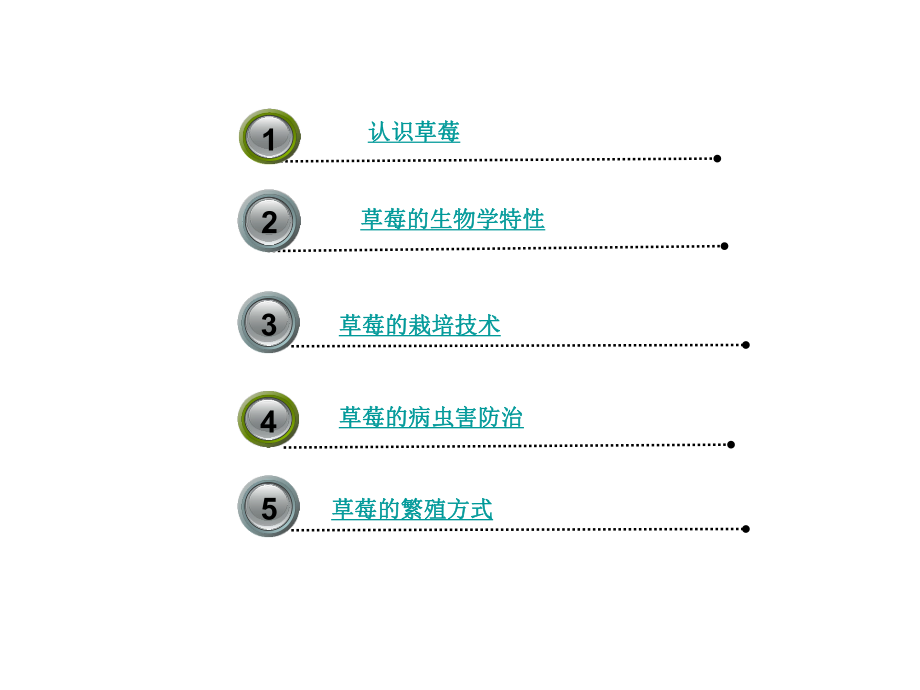 草莓栽培及病虫害防治技术.ppt_第2页