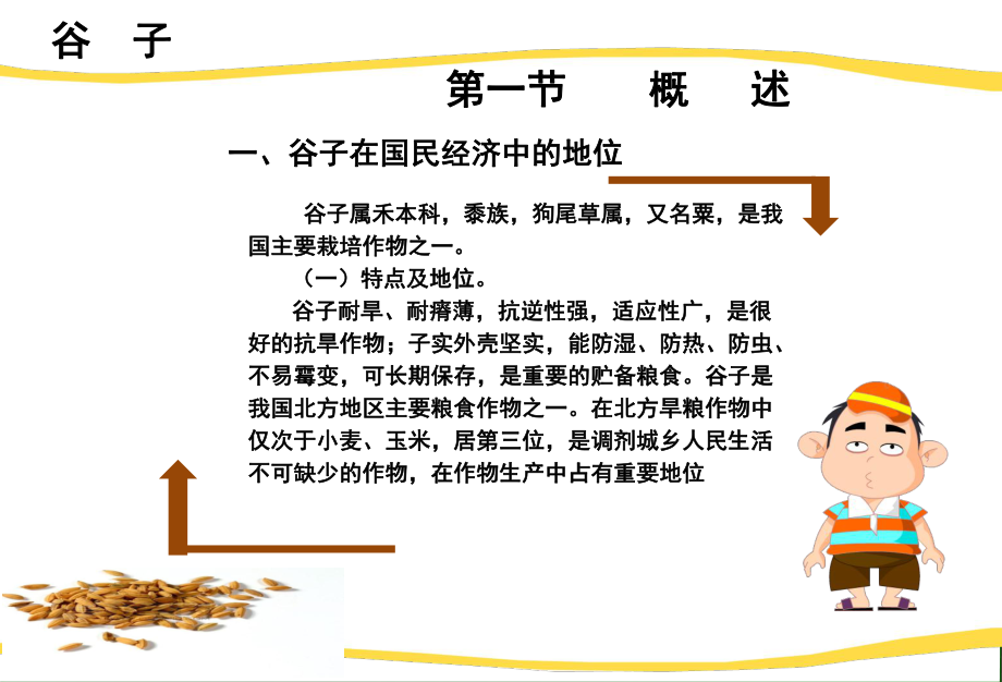 谷子栽培技术李如生.ppt_第3页