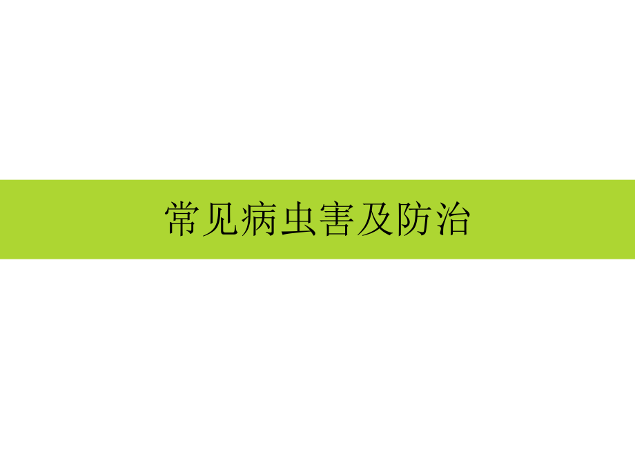 蜜柚病虫害综合防治技术.ppt_第1页