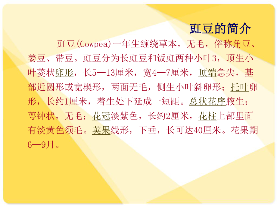 豇豆的栽培技术.ppt_第2页