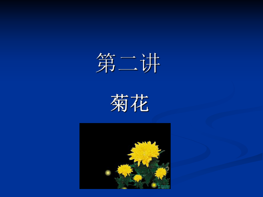 菊花栽培技术.ppt_第2页