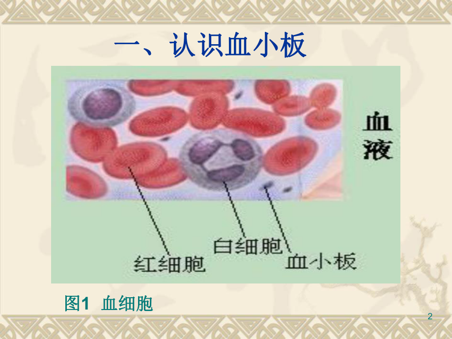 血小板临床应用.ppt_第2页