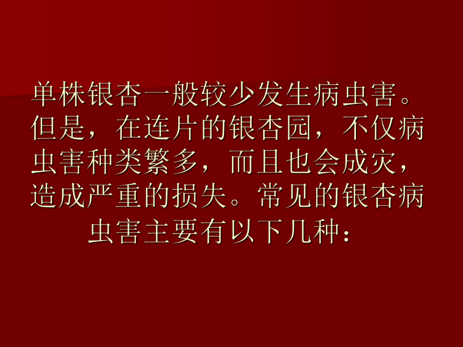 银杏病虫害防治.ppt_第2页