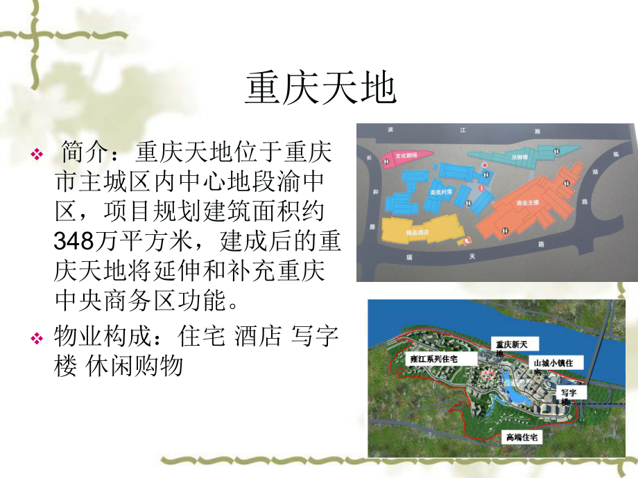 重庆天地调研报告.ppt_第3页