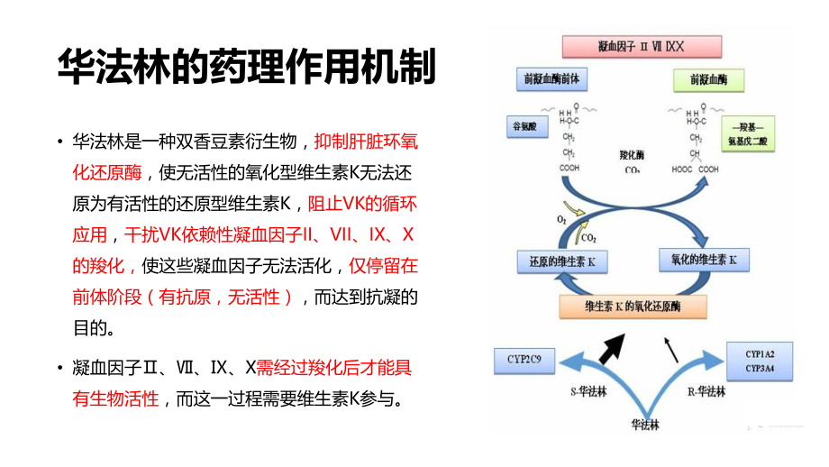 华法林的临床应用.ppt_第3页