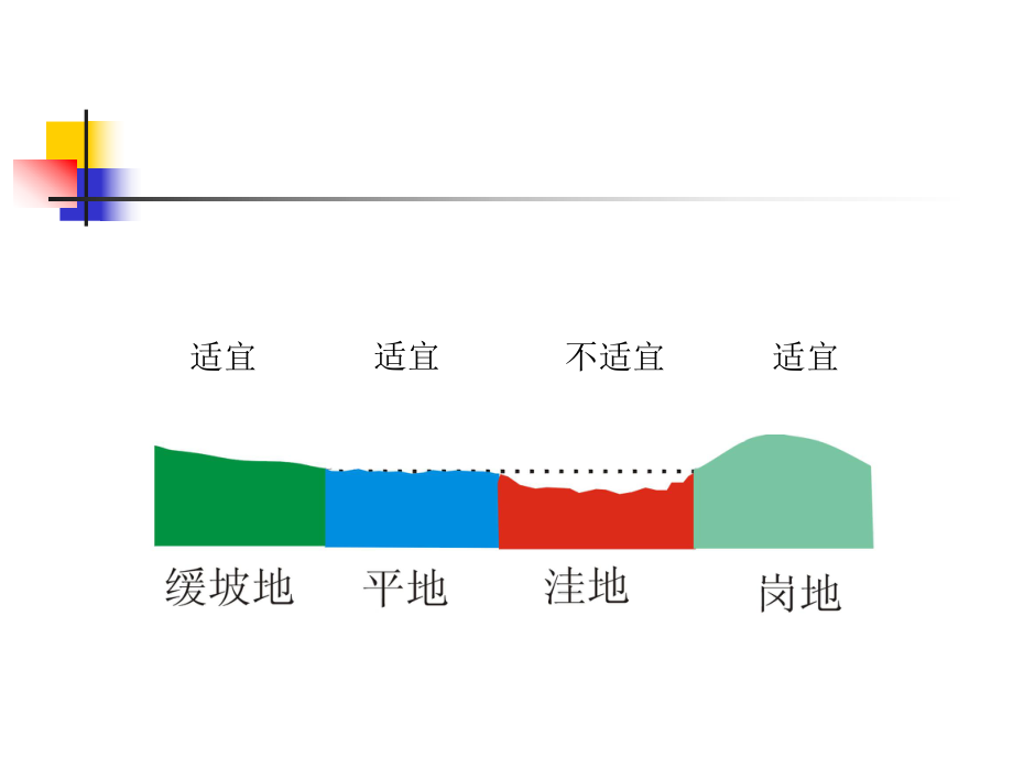 马铃薯栽培技术.ppt_第3页