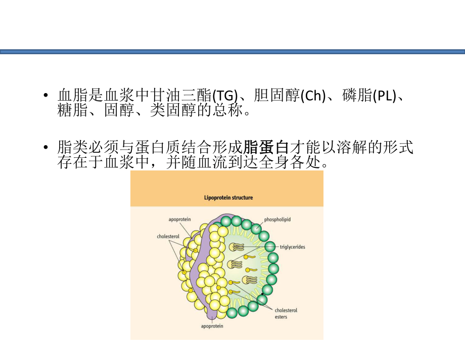 高血压患者血脂的处理.ppt_第2页