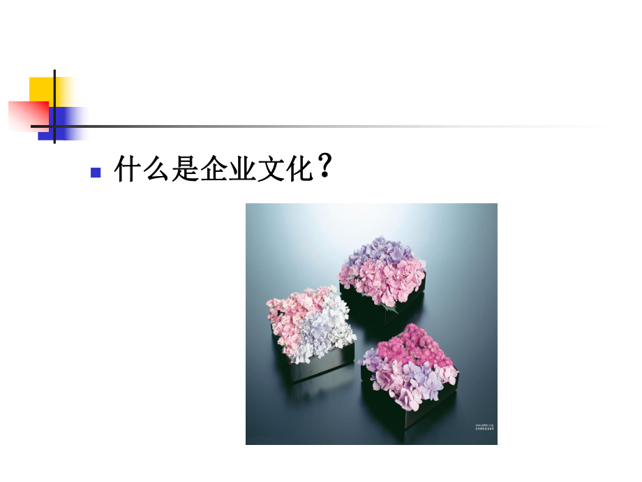 龙湖物业企业文化.ppt_第2页