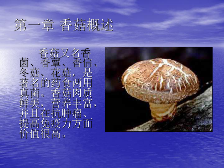 香菇栽培技术.ppt_第2页