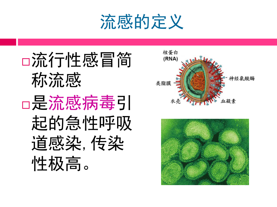 预防流感课件.ppt_第3页