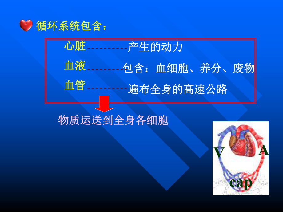 高血压营养治疗.ppt_第2页