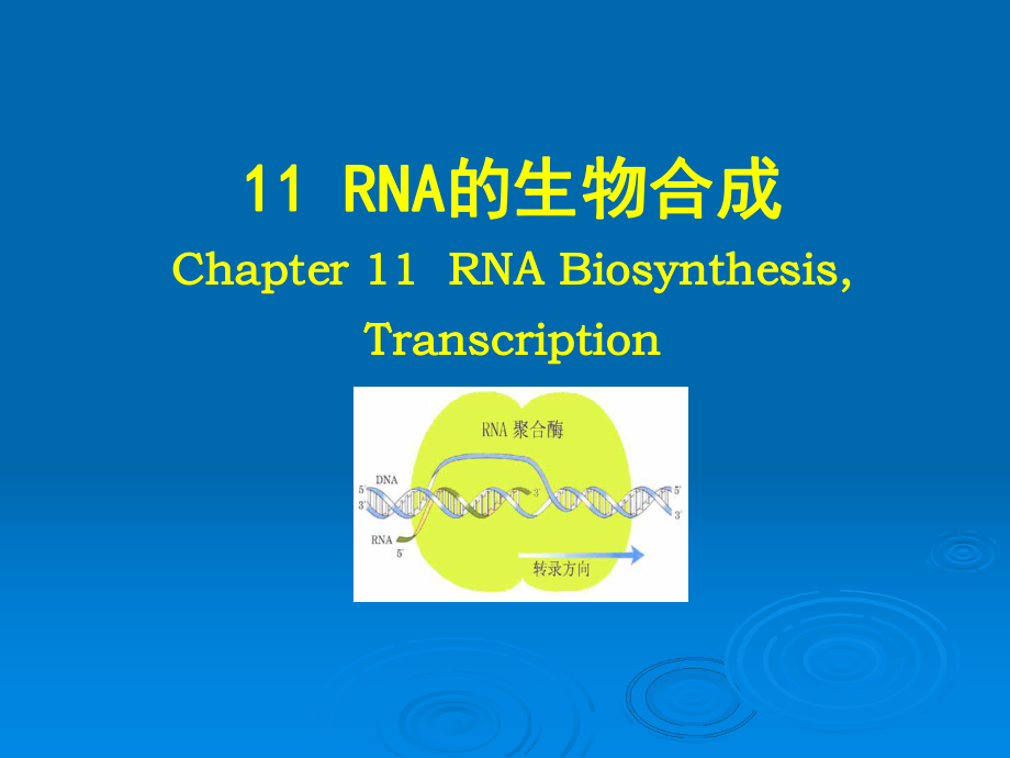 11茶叶生物化学.ppt_第1页