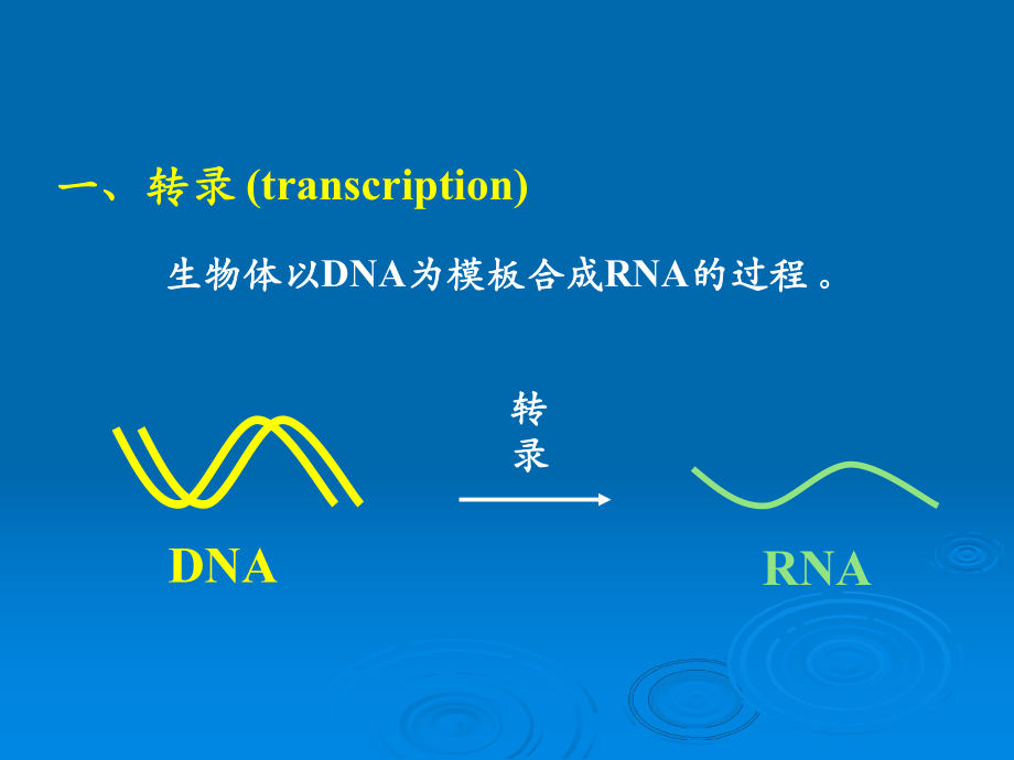 11茶叶生物化学.ppt_第3页