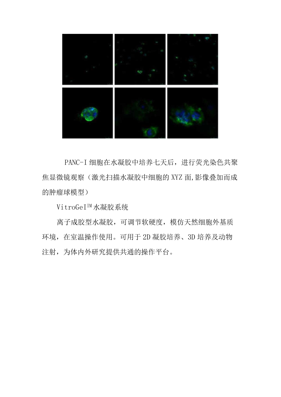 3D培养与肿瘤微环境培养要点实例分析.docx_第3页