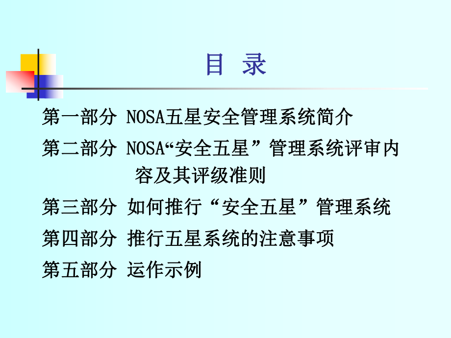 NOSA管理培训(课件1).ppt_第2页