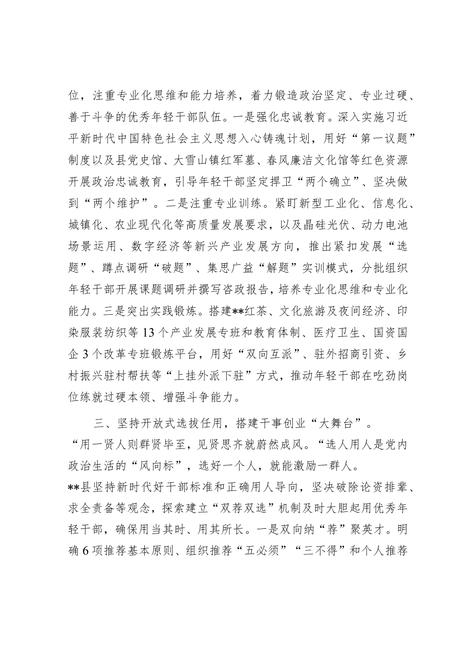 年轻干部队伍建设经验交流材料.docx_第2页