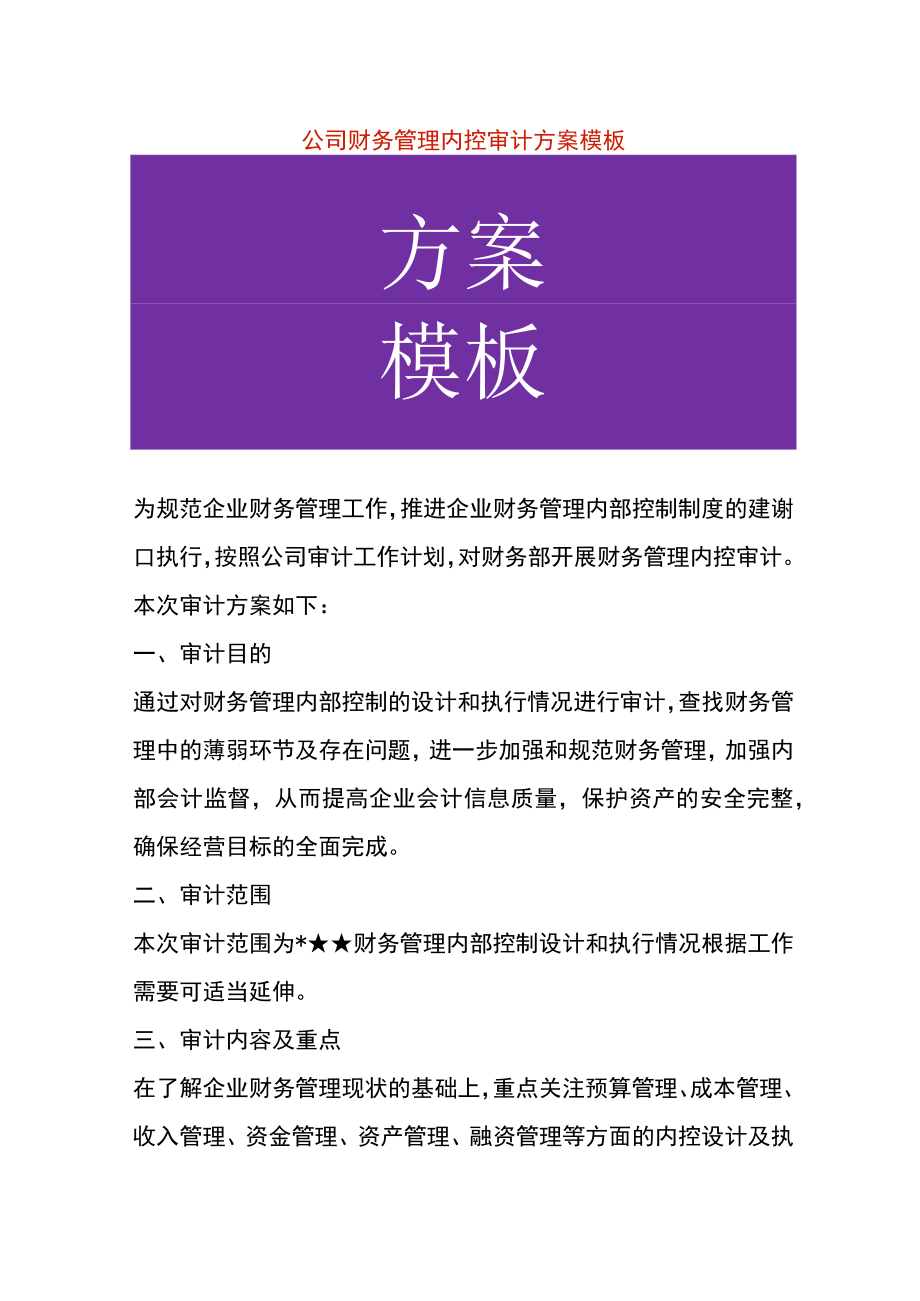 公司财务管理内控审计方案模板.docx_第1页