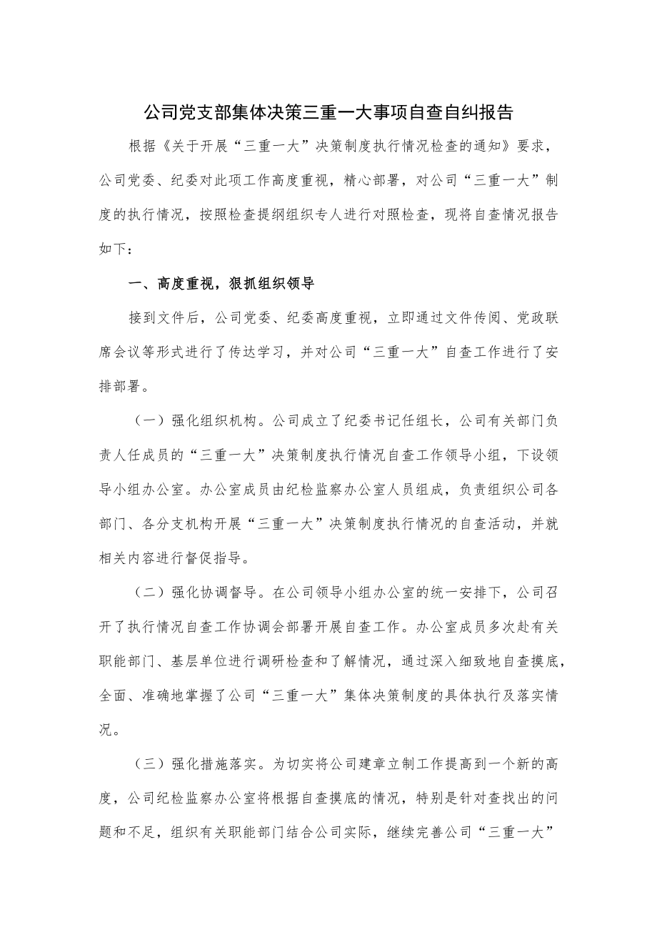 公司党支部集体决策三重一大事项自查自纠报告2篇.docx_第1页