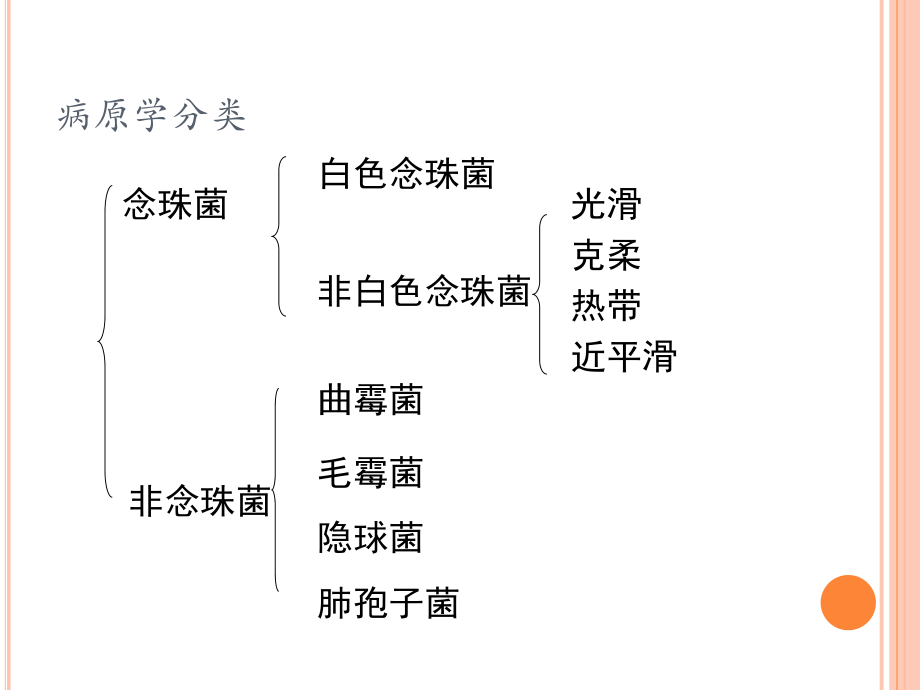 肺部真菌感染的影像学特点.ppt_第2页