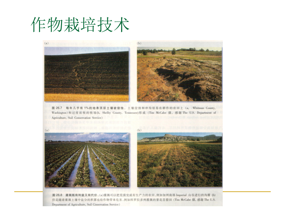 作物栽培技术.ppt_第1页