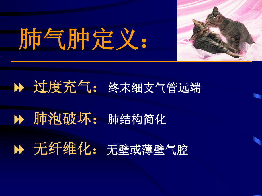 肺气肿的影像学诊断.ppt_第3页