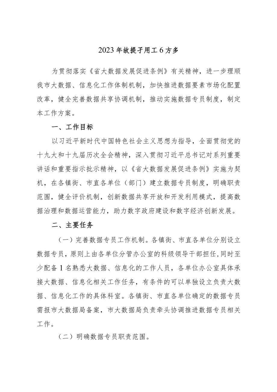 2023年数据专员工作方案.docx_第1页