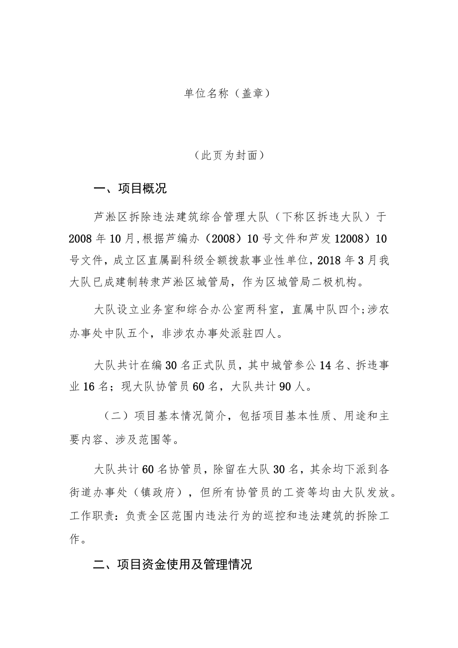 芦淞区拆除违法建筑综合管理大队专项资金绩效自评报告.docx_第2页