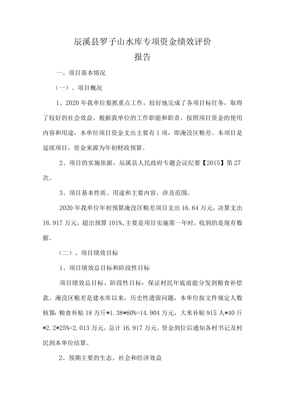 辰溪县罗子山水库专项资金绩效评价报告.docx_第1页