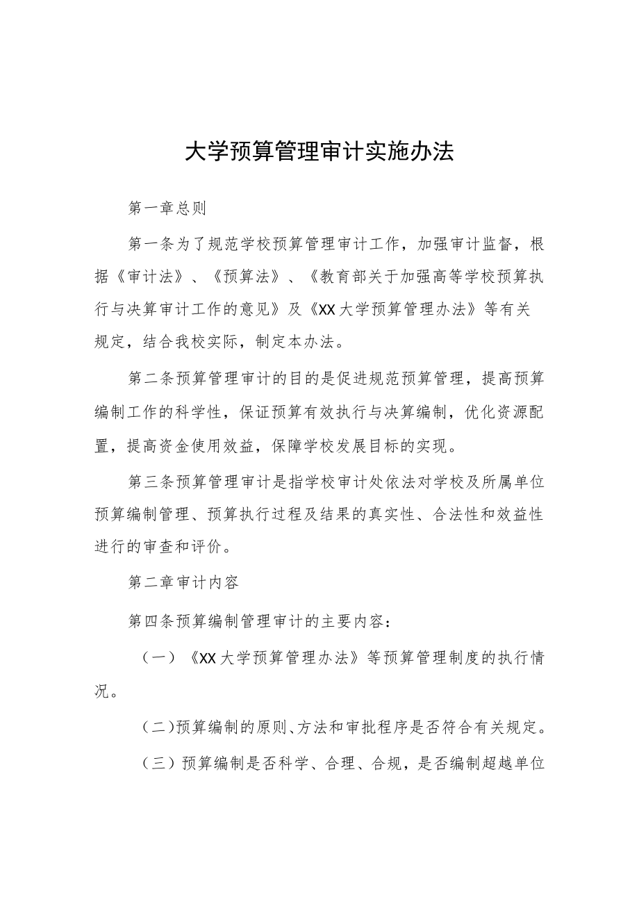 大学预算管理审计实施办法.docx_第1页