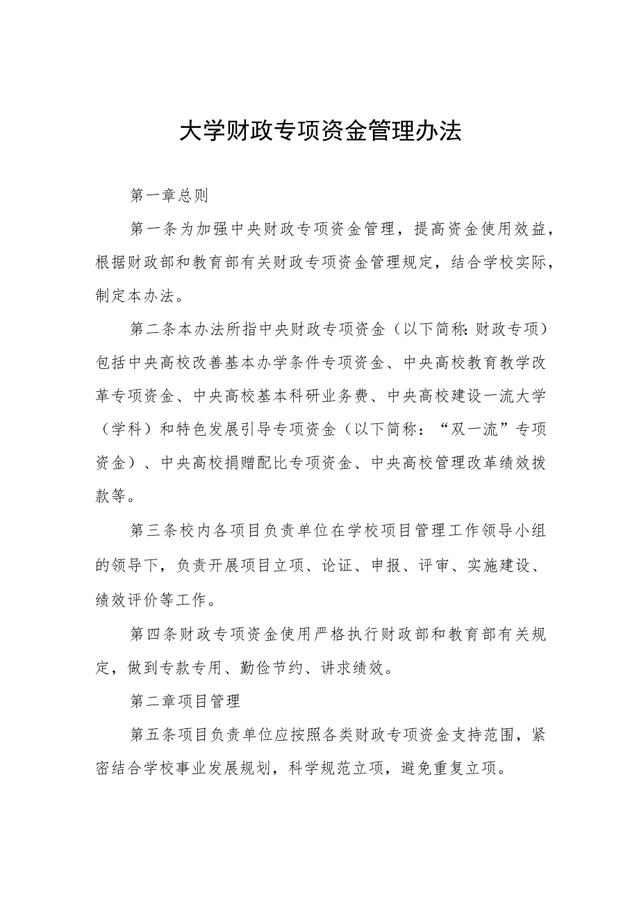 大学财政专项资金管理办法.docx_第1页