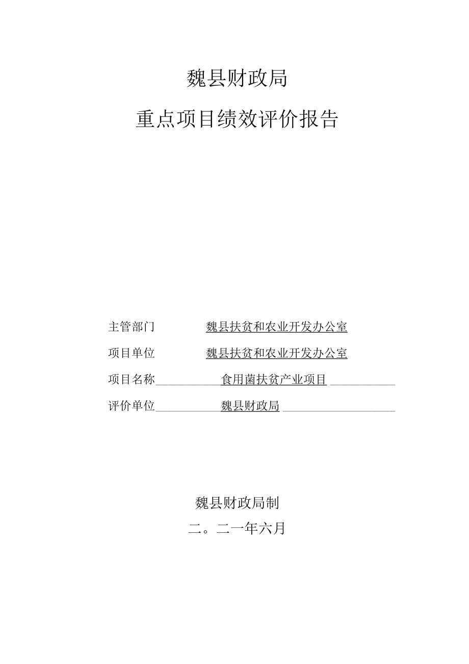 魏县财政局重点项目绩效评价报告.docx_第1页