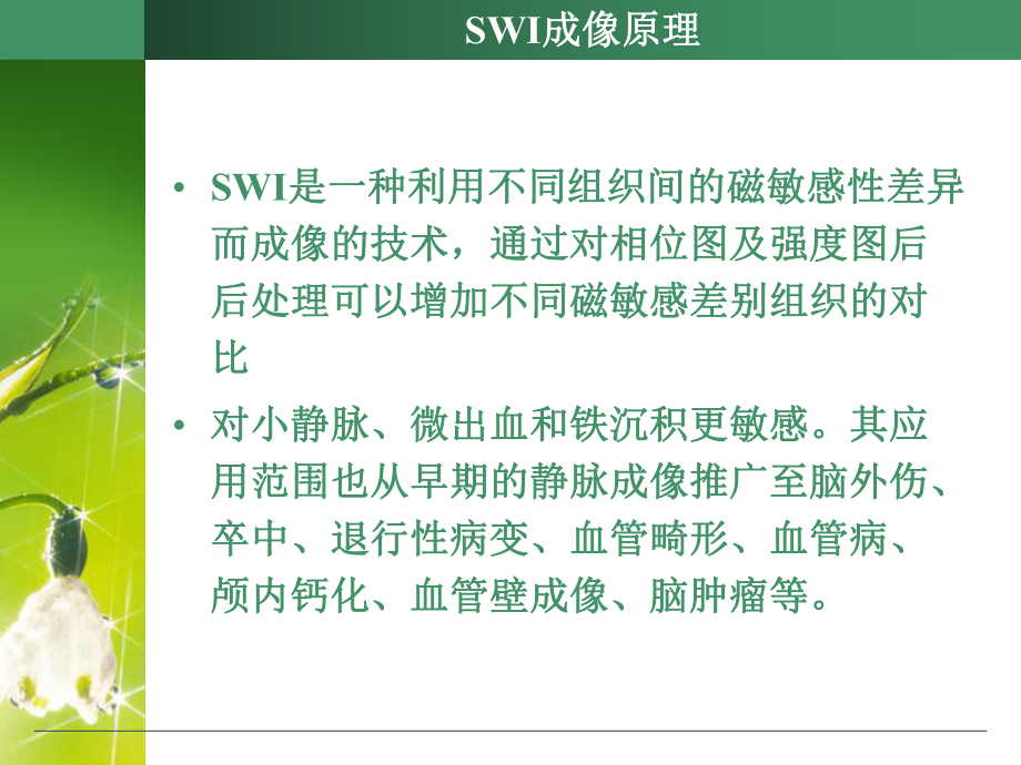 SWI的临床应用.ppt_第2页