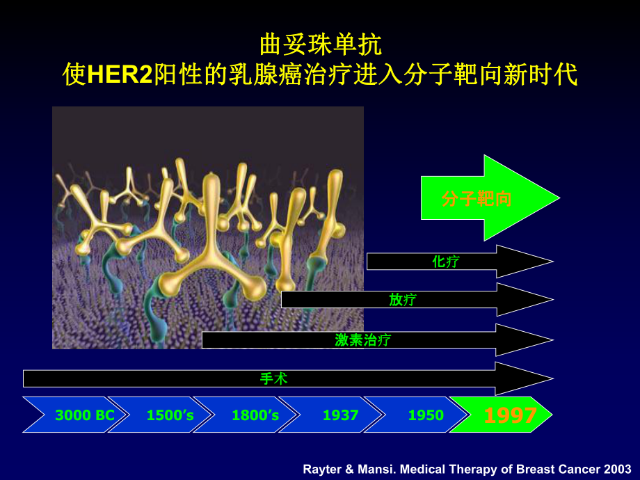 HER2阳性乳腺癌诊疗专家共识.ppt_第2页