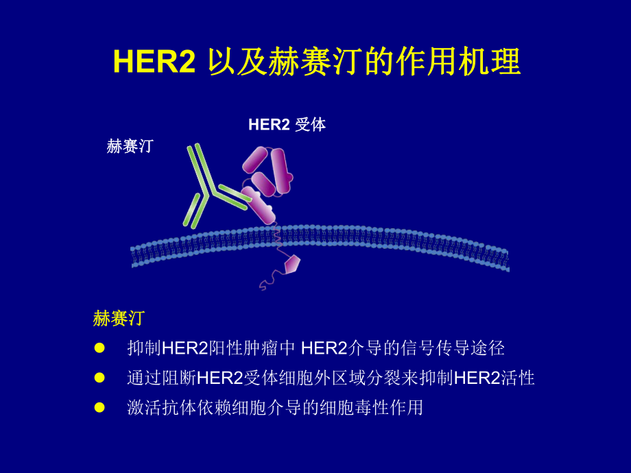 ToGA研究报告.ppt_第3页