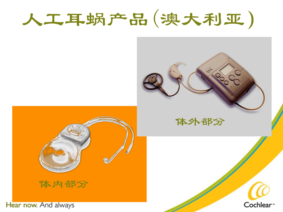 人工耳蜗工作原理.ppt_第3页