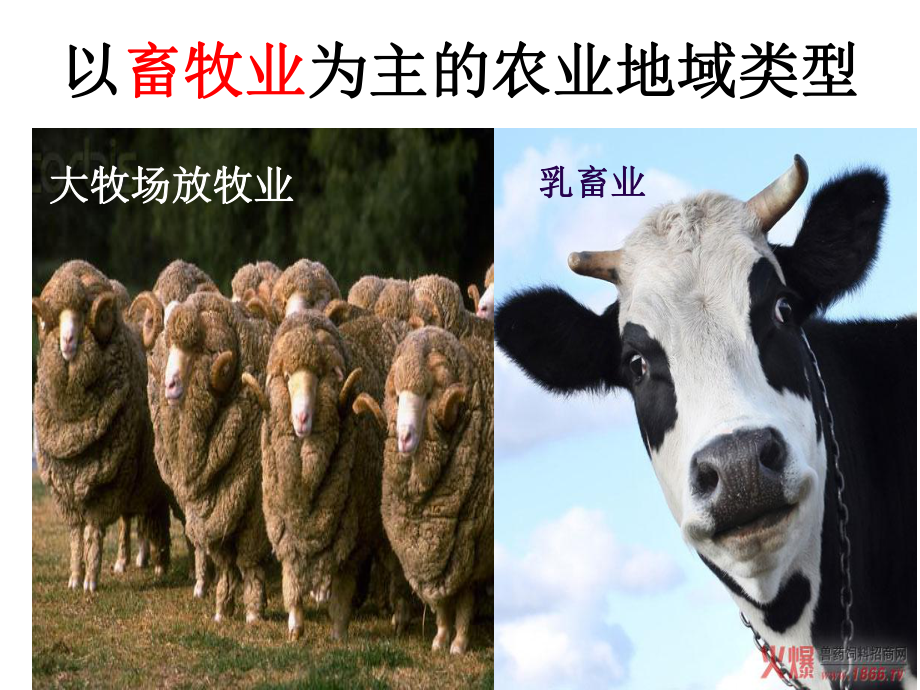 以畜牧业为主的农业地域类型.ppt_第1页